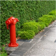 Fire Hydrant Assemblies